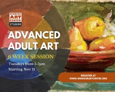 Advanced Adult Art (6 weeks)