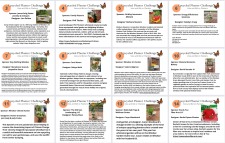 Upcycled Pollinator Planter Challenge