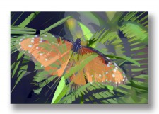 Photographer Len Hellerman